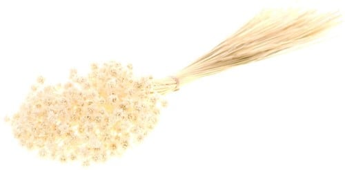 [A-022171] Hill flower bleached white fijne droogbloemen 100gr