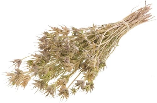 [A-022179] Nigella Orientalis SB Naturel Groen 