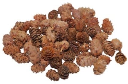 [A-022635] Omorica cone kleine dennenappeltjes Naturel Pinecone Baby Spruce 2–3 cm 150 gram